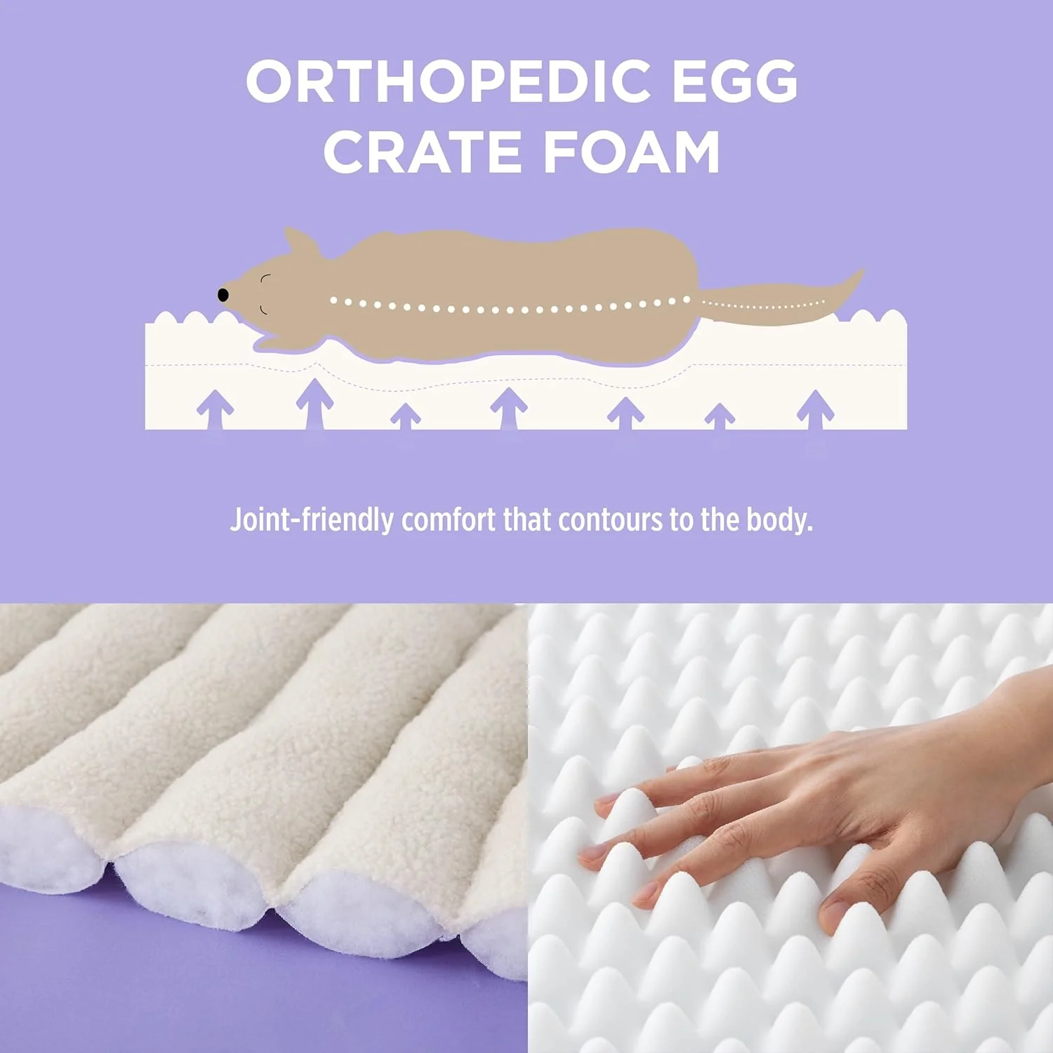 CAMA ORTPÉDICA DE FELPA ESTILO SOFÁ PARA PERROS MEDIANOS - Imagen 3