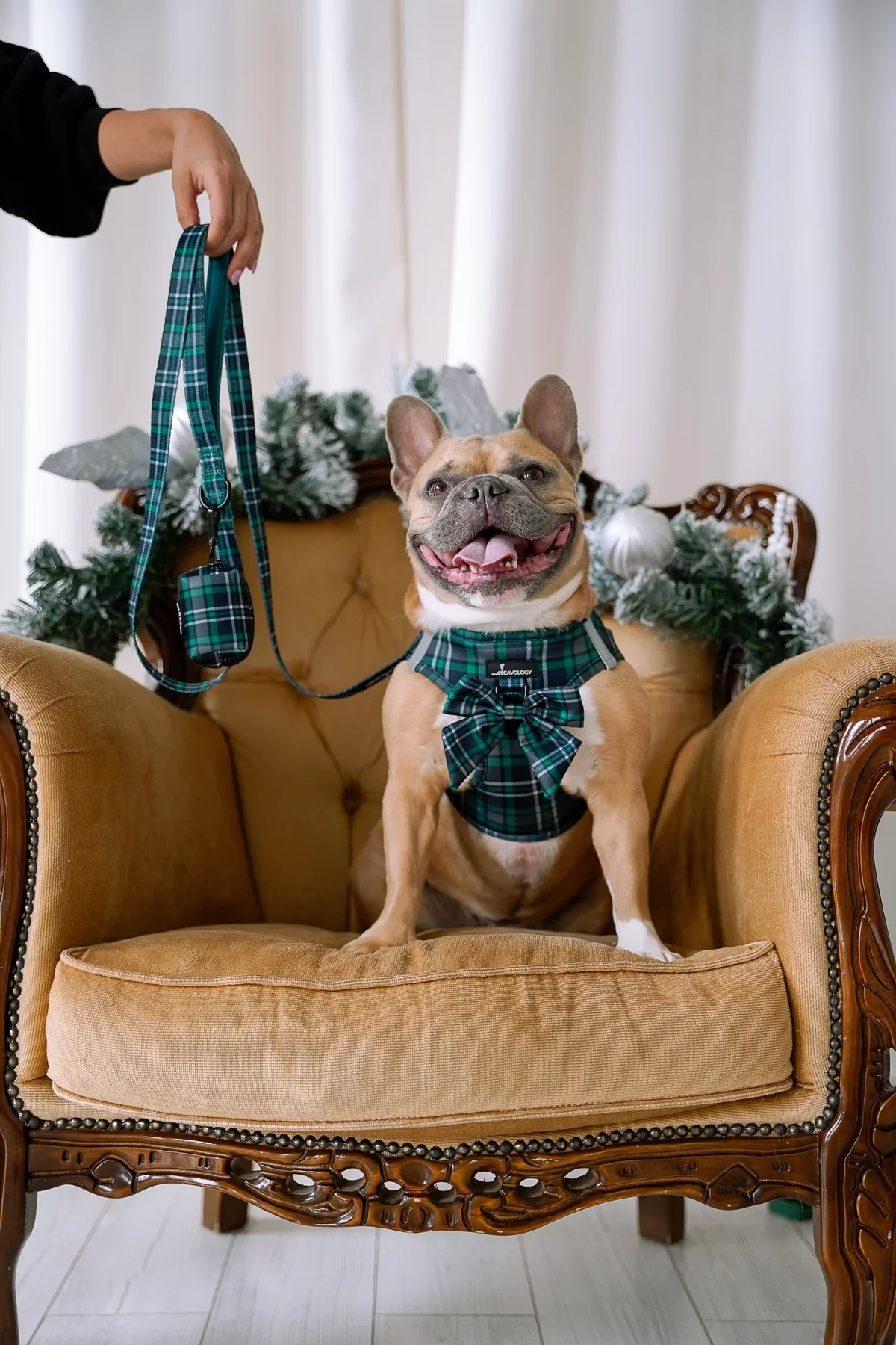 VEST STEP IN HARNESS - GREEN PLAID TARTAN - Imagen 3
